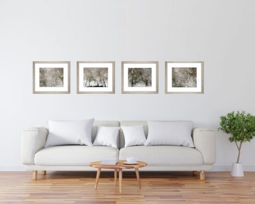 Konvolut-floating-trees-Hahnemühlepapier-30x24-cm-im-Holzrahmen-silber-antik