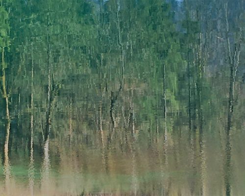 swimming trees #2.0