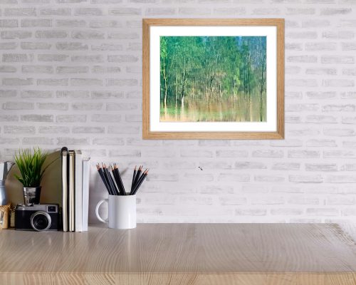 #swimming trees# auf Hahnemühlepapier 30x24 cm mit Holzrahmen Buche